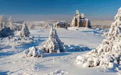 ZIMOWY RESET NA JURZE