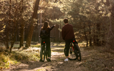 WIOSNA W LESIE NA JURZE