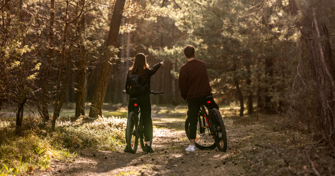 WIOSNA W LESIE NA JURZE