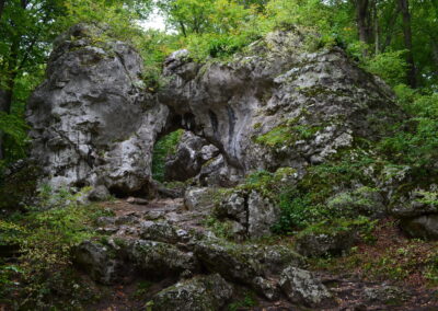 Naturalny wapienny łuk skalny, znany jako Brama Twardowskiego, położony w lesie na Jurze Krakowsko-Częstochowskiej