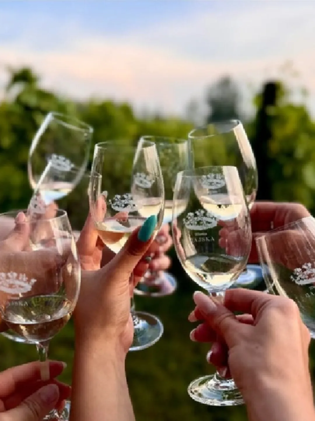 Grupa osób wznosząca toast kieliszkami białego wina na tle zielonej winnicy